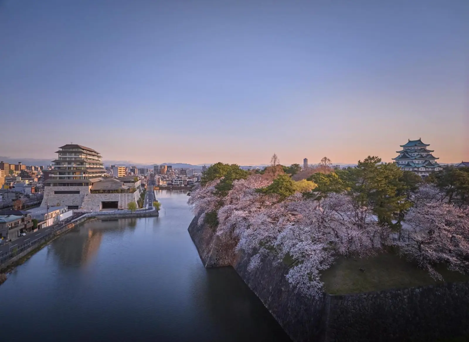 View of cherry blossoms from Espacio Nagoya Castle
